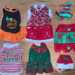 Holiday XS Dog Clothes
